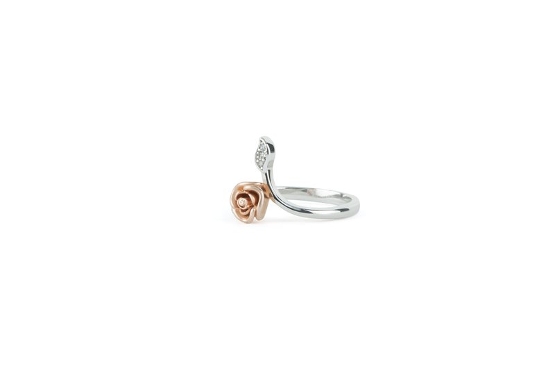 Crystal Halo Promise Ring